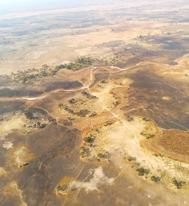 Le delta de l’Okavango à sec, Botswana (Crédit : Delphine Mazillier)