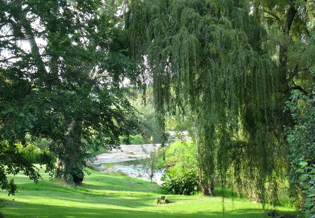 Paysage de nature le long d'un cours d'eau