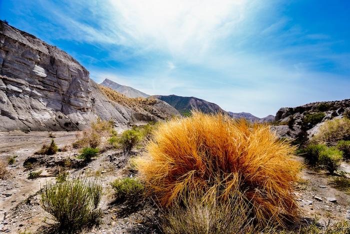 desert de tabernas