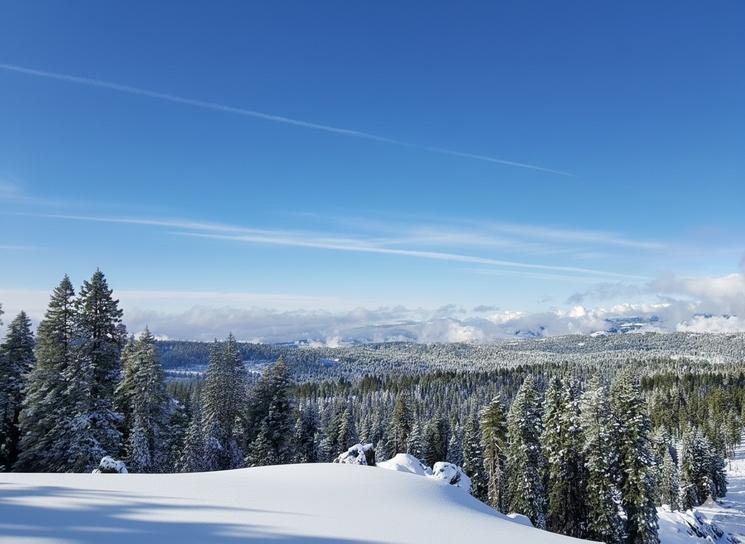 Vue d'une piste de Dodge Ridge