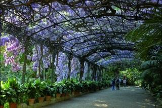 Jardin Botánico La Concepcion Malaga 