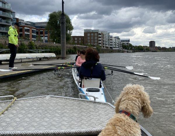 Les membres du Fulham Reach Boat Club sur l'eau