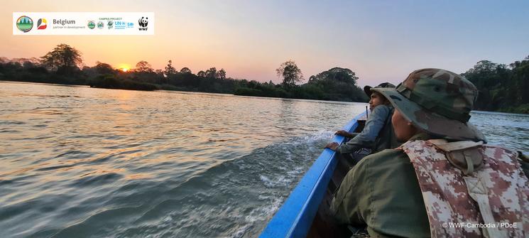 Field Work - Siamese Crocodile