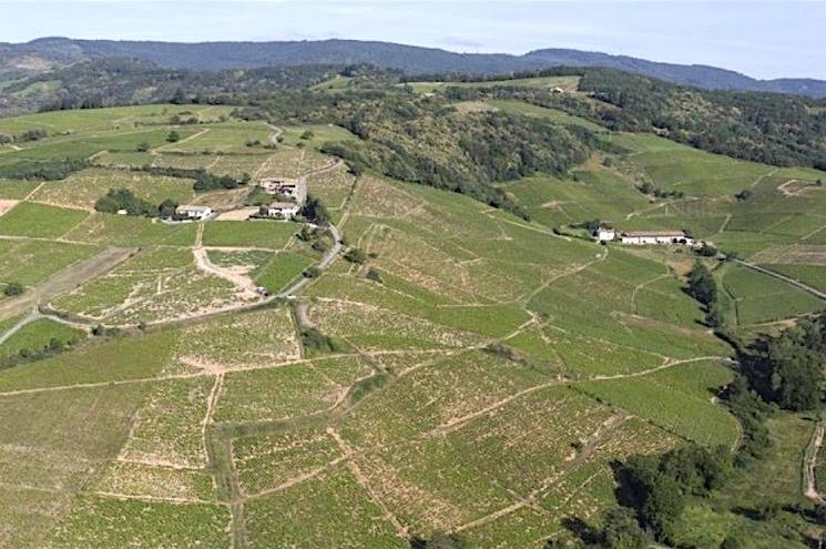 Fleurie livraison vin Londres