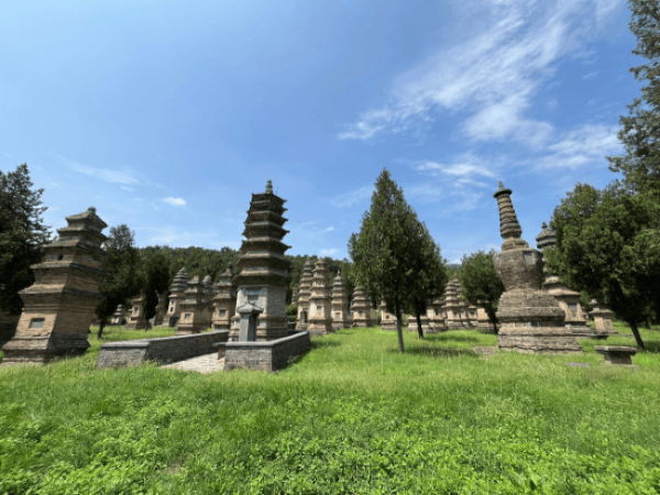 Forêt des pagodes