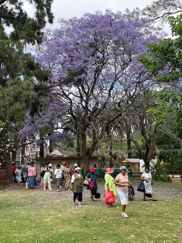 Foule Zoo Johannesburg