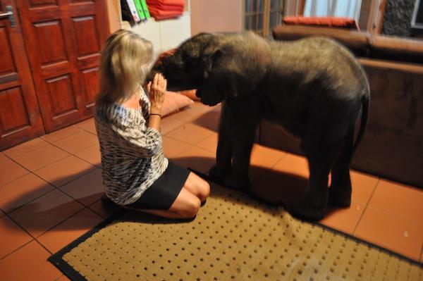 Françoise Malby Thula Thula réserve animalière Afrique du Sud