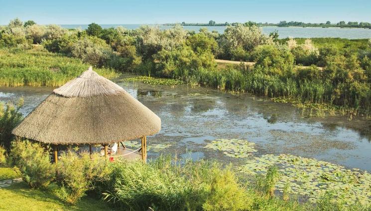 green-village-tourisme-delta-danube-roumanie-tourisme