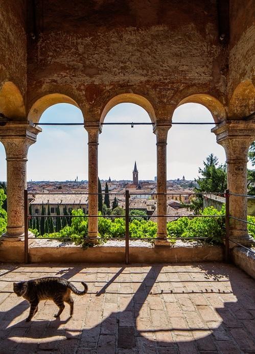 panorama sur vérone