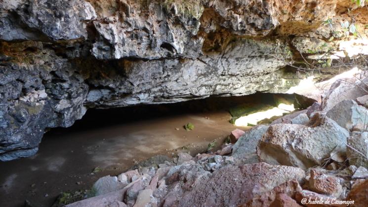 Les grottes Murrawijinie