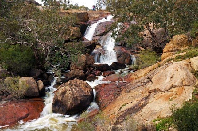 Hovea falls