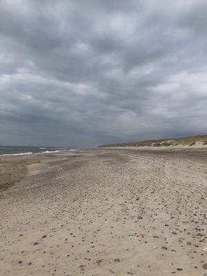 Plage du Danemark où l'on peut pratiquer la chasse à l'ambre 