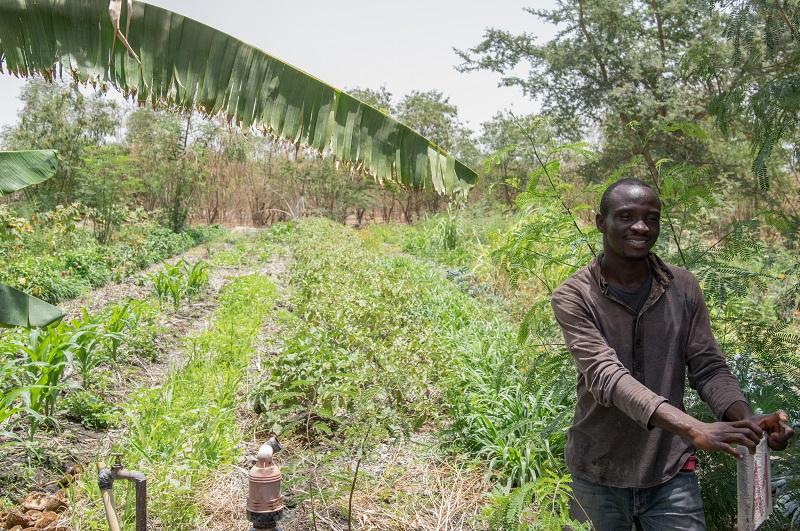 ferme beer sheba senegal