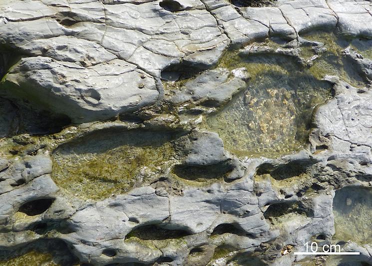 Empreintes à Tarifa