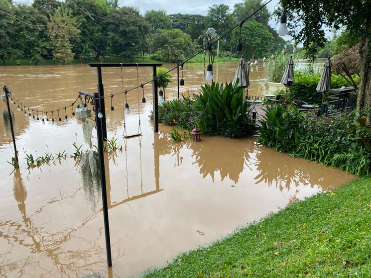 Balançoire presque engloutie à Chiang Mai