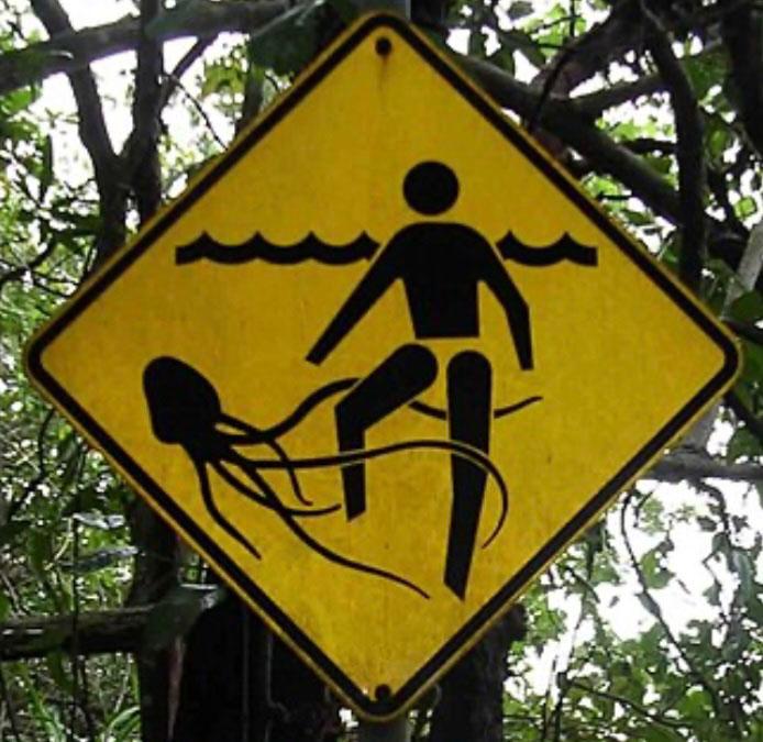 Panneau illustration attention méduses 