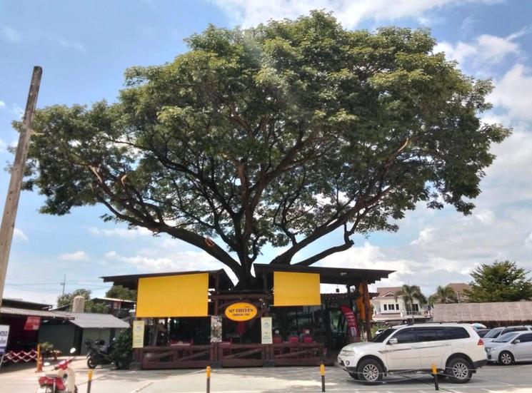 Restaurant My Kitchen à Chiang Mai 