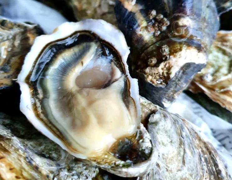 Huîtres Gillardeau