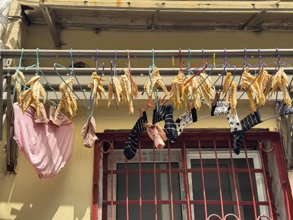 pousses de bambou Qingming