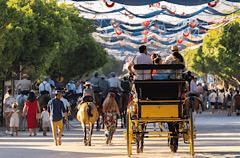 Feria de Malaga 