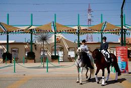 Feria de Malaga 2023