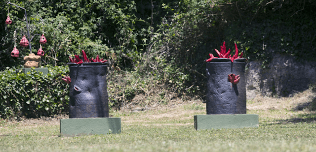 Jardin Circonflexe Malaga