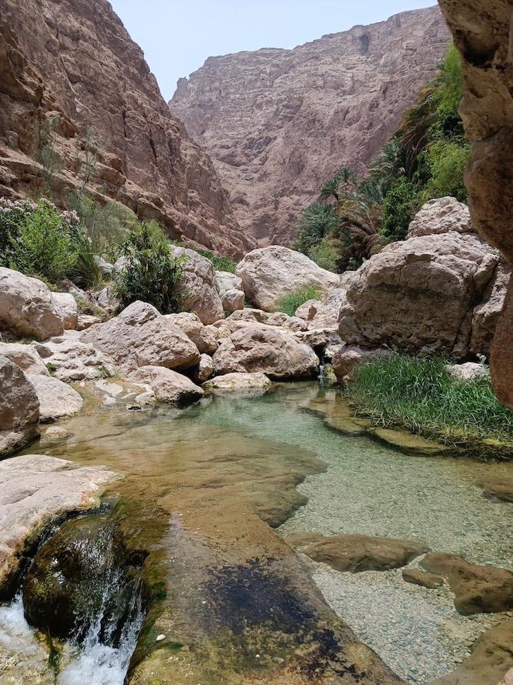 un wadi à Oman