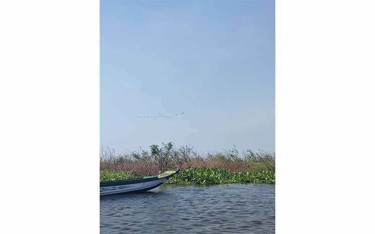 Barque sur le Tonlé Sap