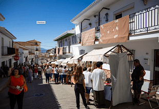 Dia de la Almendra / Diputation provincial de Malaga