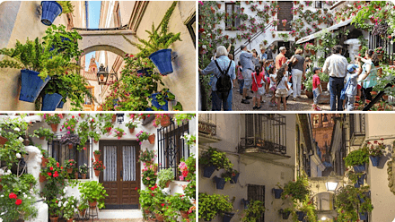 4 photos: @EspanaEnLatam