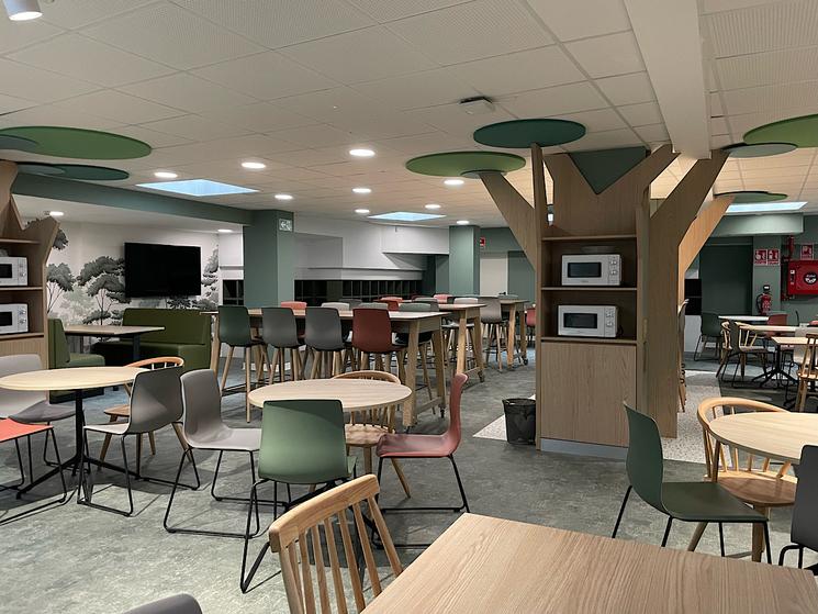 « La Fôret » ESSCA / Marine Boullenge