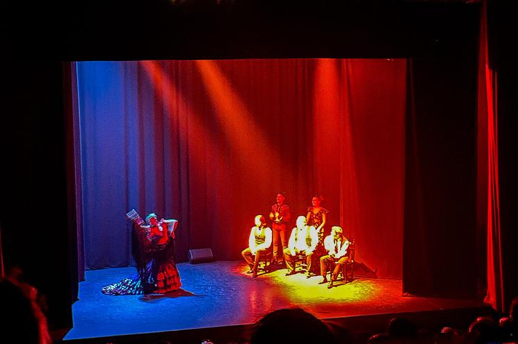 Spectacle de Flamenco à Séville / Marine Boullenger