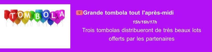 Programme Phuket Connection 2026