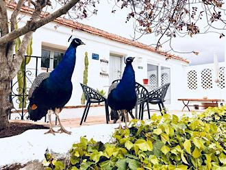La Careza, c'est son château en Espagne — au sens propre comme au sens rêvé. Et le cottage baptisé La Rocheblin est à la fois un clin d'œil et un hommage discret à cette lignée qui, quelque part, l'a précédée ici.