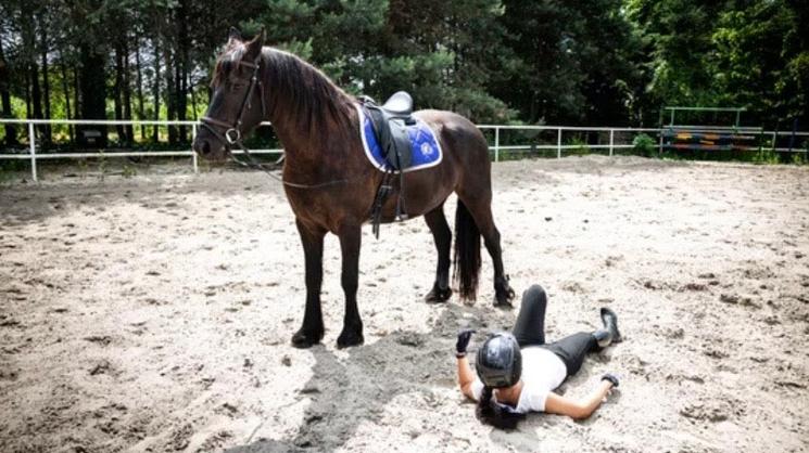 Chute de cheval