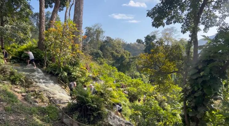 Cascade Bua Tong Chiang Mai
