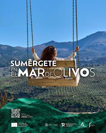 Jaen mar de Olivos
