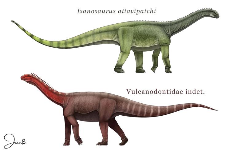 Dinosaures long cou longue queue