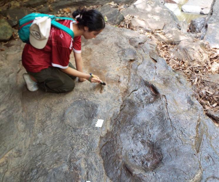 Élisabeth Liard et des traces de dinosaures