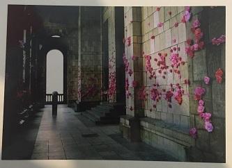 Fleurs roses palais de la culture