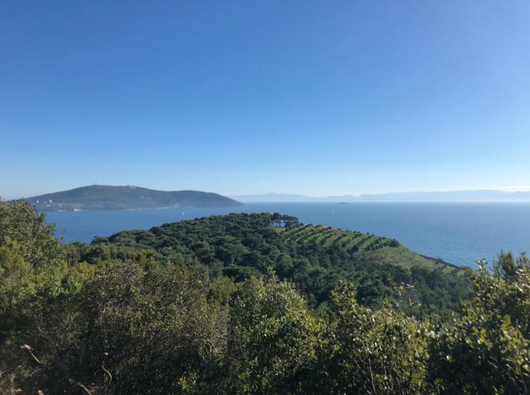 Depuis l'île d'Heybeliada Istanbul