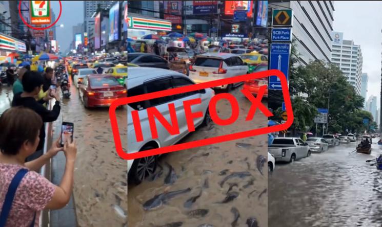 Infos images IA inondations Bangkok 