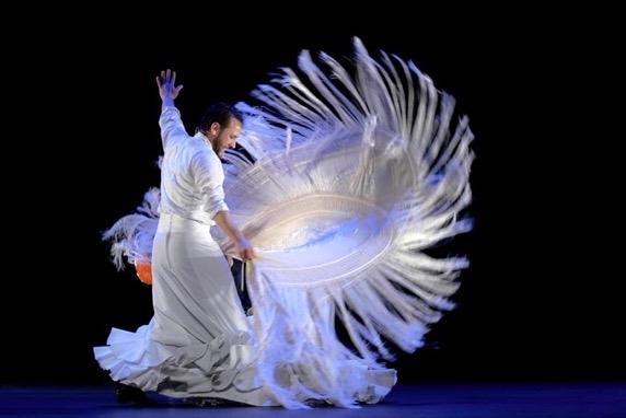 VIII Bienal Flamenco Malaga