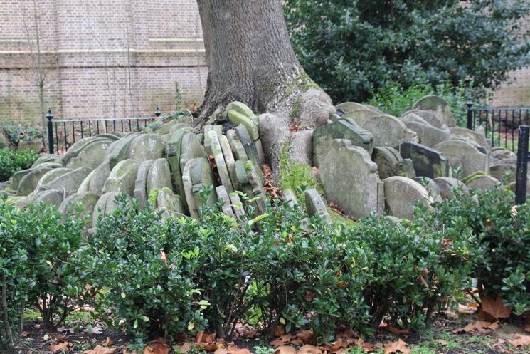 Les tombes au pied du Hardy Tree