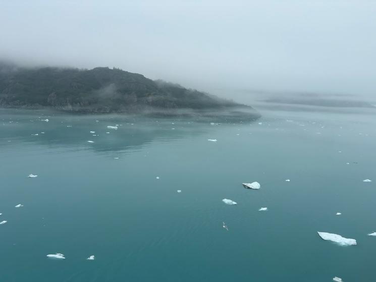 Les Icebergs près de Glacier Bay @ Emmanuelle Franks