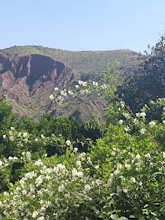 Alpujarra Almeria