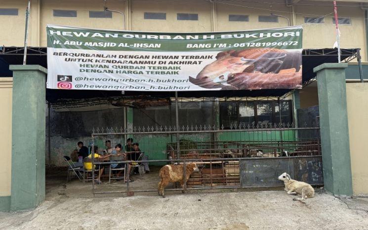 Le prix des animaux varie de 2,5 à 60 millions