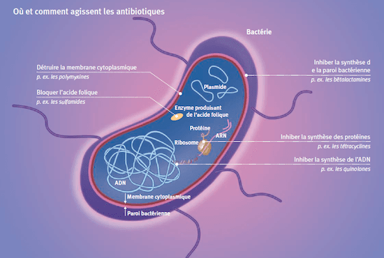 antibios