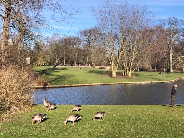 Parc de Frederiksberg 