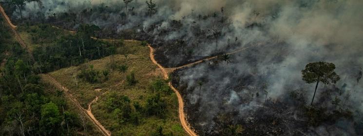 l'Amazonie brûle en 2019